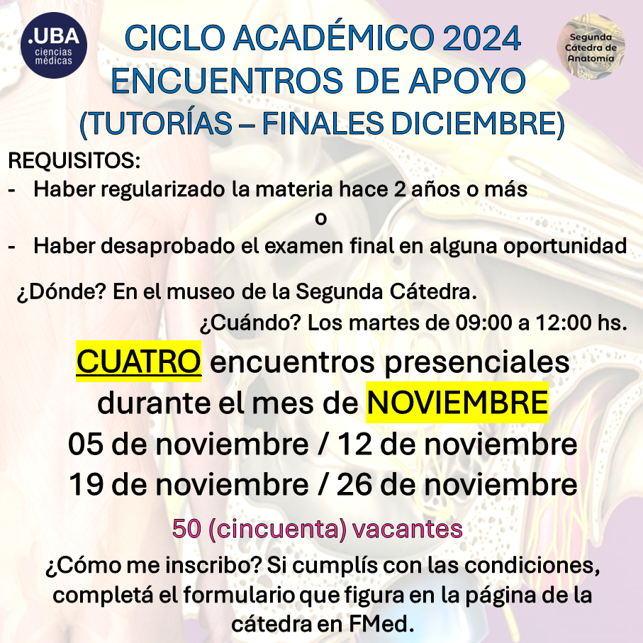 2024-tutorias diciembre-2