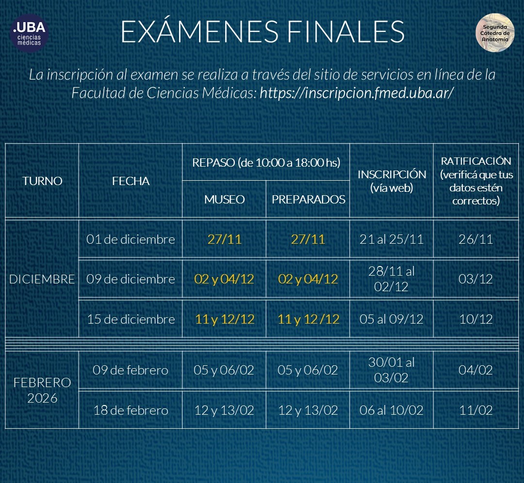 2025-finales actualizado