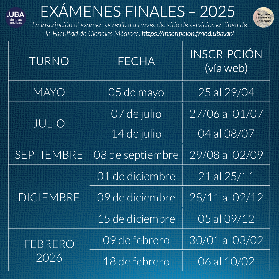 2025-finales sq