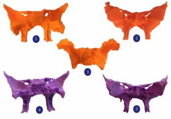 3D
