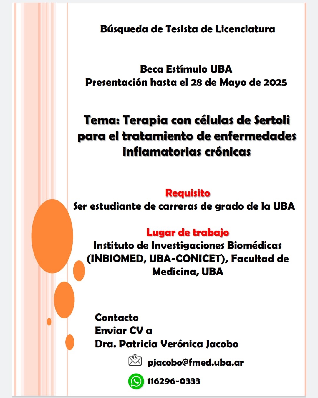 Búsqueda Beca Estímulo UBA