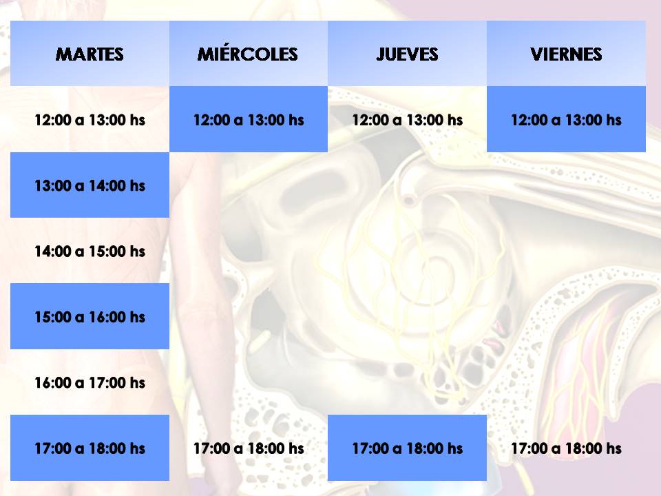 Repaso en Museo
